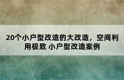 20个小户型改造的大改造，空间利用极致 小户型改造案例